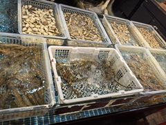 -阳江餐厅·30年老字号·粤菜海鲜大排档