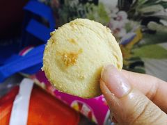 -珍妮曲奇聪明小熊(尖沙咀店)