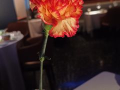 -華府(凯德晶萃店)