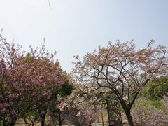 景点-白马涧龙池景区