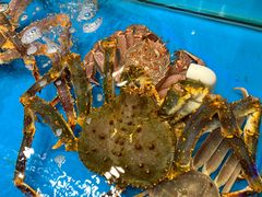 -盒马鲜生(189购物中心店)
