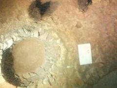 -南越王博物院(王宫展区)