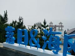 -养马岛旅游度假区