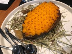 -鼎鼎西餐厅