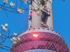 -东方明珠广播电视塔