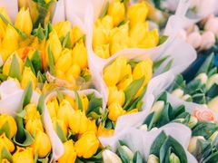 -循礼门鲜花花市(武汉循礼门店)