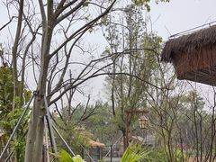 -珠海海泉湾神秘岛亲子乐园