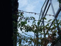 -悦真雅院·四合院·清真私房菜(雍和宫店)