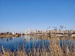 -天津东丽湖风景区