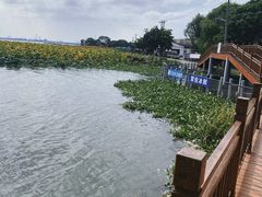 -渔娘蟹庄(阳澄湖莲花岛店)