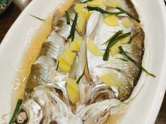 清蒸白鱼-观桥阁(锦溪店)