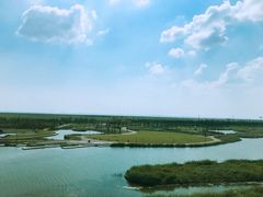 -春花秋色城市公园