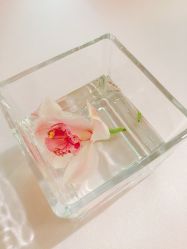 -北京饭店诺金·宴会厅