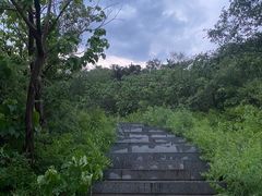 -鬼笑石后山停车场