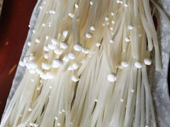 金针菇-高兴壹锅·潮汕鲜牛肉火锅(良乡梅花庄店)