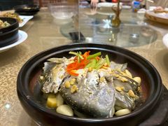半煎煮金鲳鱼-壹只卤鹅 · 潮汕菜(京基百纳店)