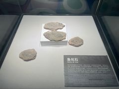 -重庆欢乐海底世界