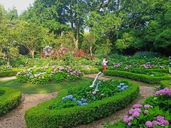 -上海共青森林公园