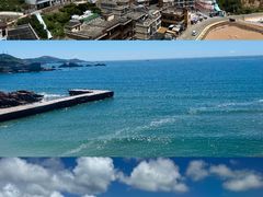 -枸杞岛
