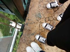 -梦幻奥陶纪景区