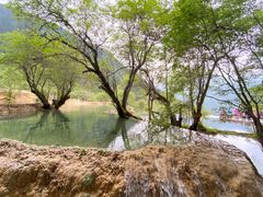 -黄龙山原始森林景区