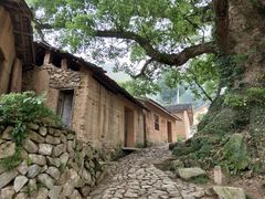-杨家堂村