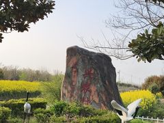-盐城丹顶鹤湿地生态旅游区
