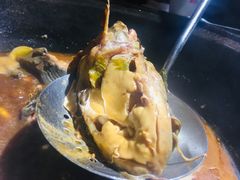 -肥鱼屯活鱼锅(惠工街店)