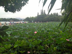 android_upload_pic-杭州香格里拉饭店