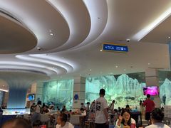 -帝企鹅自助餐厅•儿童岛•真企鹅(长隆企鹅酒店)