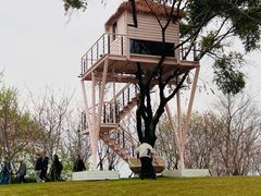 -福建鲤鱼洲酒店