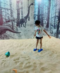 -恐龙探索乐园(磁器口店)