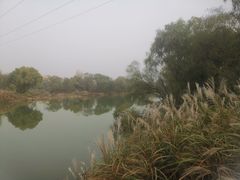 -西安浐灞国家湿地公园