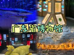 -广东省博物馆