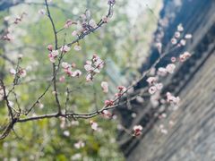 -罔极寺