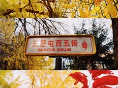 -三里屯东五街银杏大道