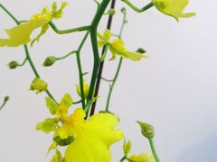 -凯乐会量贩KTV(国防大厦总店)