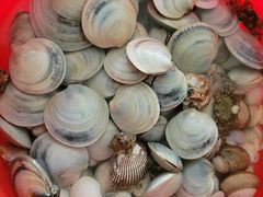 -东疆理想海岸沙滩景区