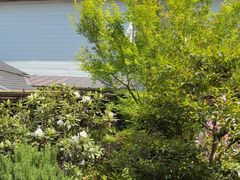 -京都冈本和服体验租赁店(清水寺店)