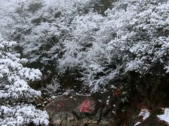 -安吉龙王山风景区