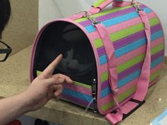 -伟伟宠物医院·CT影像中心·瑞派犬猫综合性门诊(汉口总院)