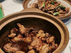 -杨厨的田园饭店(长城路店)
