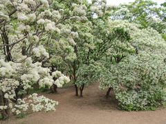 -国家植物园南园