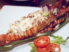 -Red Lobster