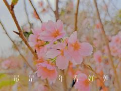 -长廊欢乐园