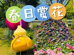 -云溪植物园