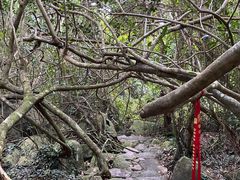 -呀诺达热带雨林