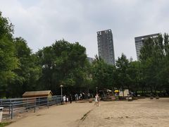 -长白岛森林公园