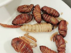-第六季自助餐厅(王府井店)