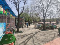 -大望京儿童游乐场